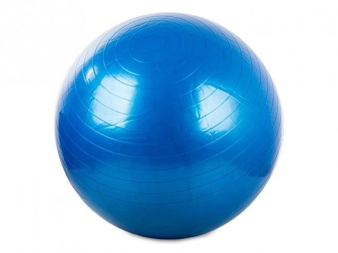 Gimnastička lopta Fitness 65 cm s pumpicom