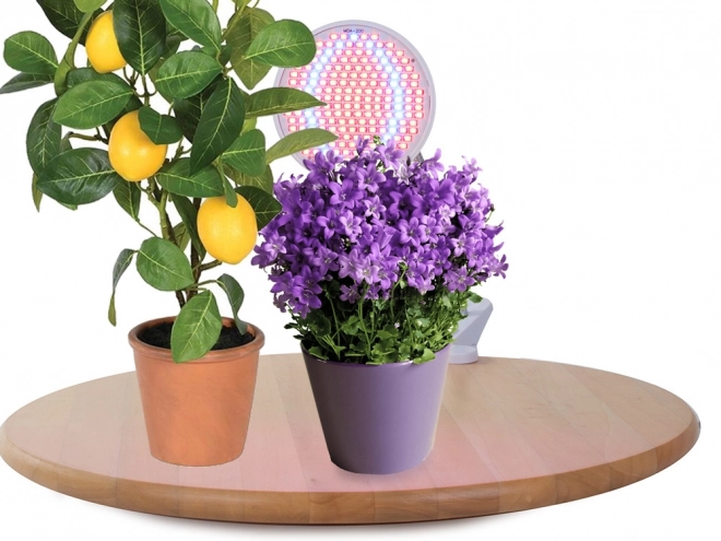LED lampa za uzgoj biljaka 20W