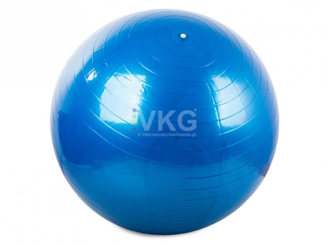 Gimnastička lopta Fitness 65 cm s pumpicom
