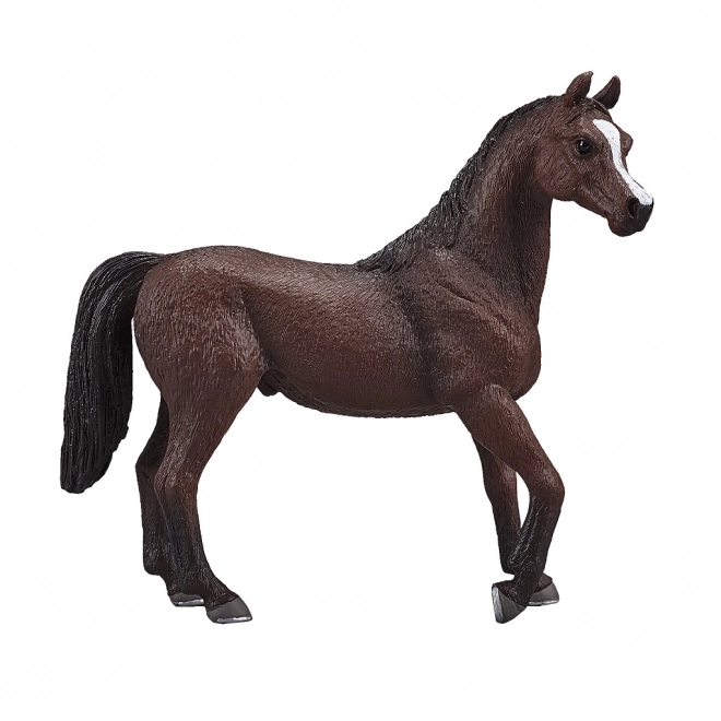 Mojo arapski pastuh
