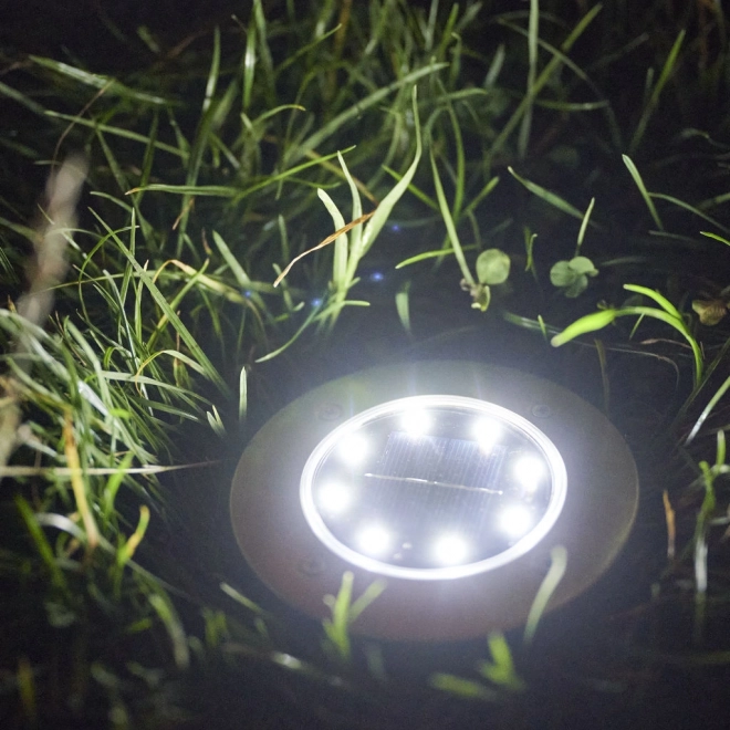 Solarna vrtna LED rasvjeta - 12 komada