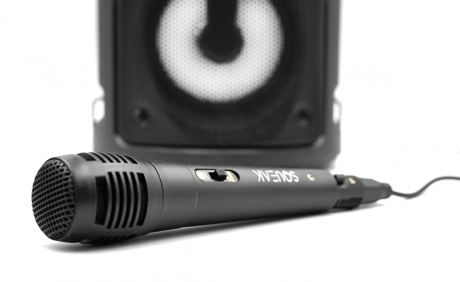 Bluetooth zvučnik Harmony s karaoke funkcijom