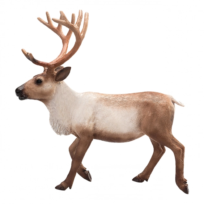 Mojo Animal Planet Pas