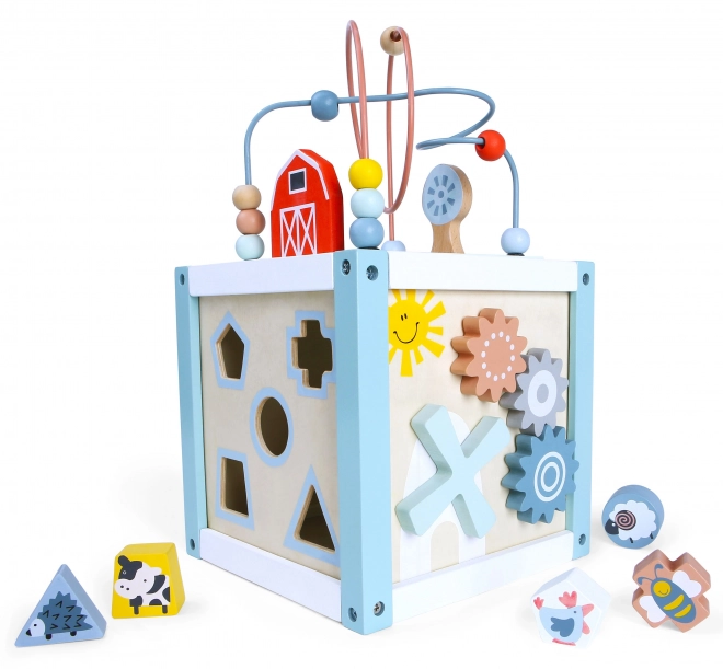 Drvena igračka za sortiranje s kockama Ecotoys