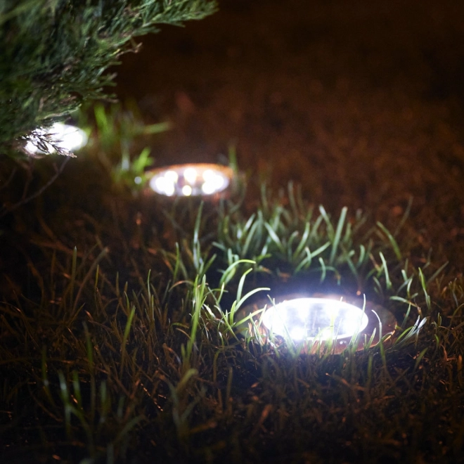 Solarna vrtna LED rasvjeta - 12 komada