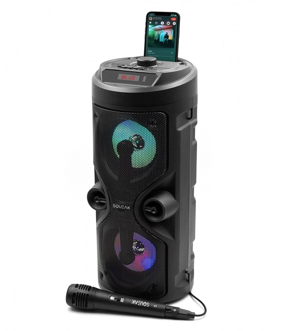 Bluetooth zvučnik Harmony s karaoke funkcijom
