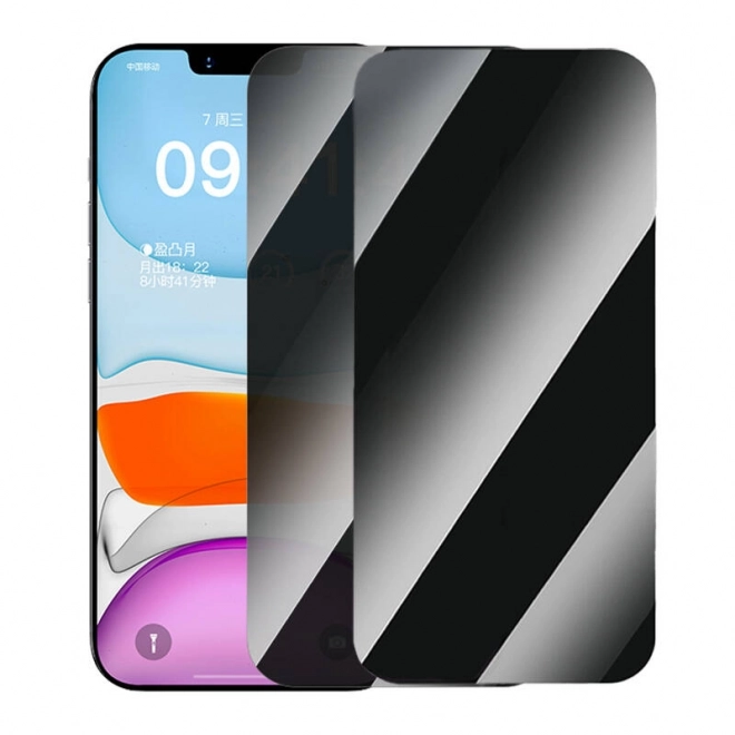 Baseus Superior matno zaštitno staklo za iPhone 11 Pro/X/XS + 2x set za čišćenje i EasyStick