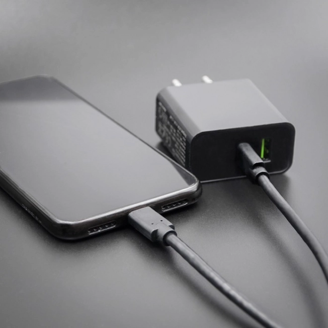 USB-C na USB-C kabel za prijenos podataka i punjenje, 3m, crni