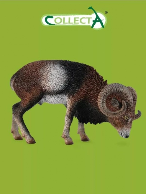 Europski muflon