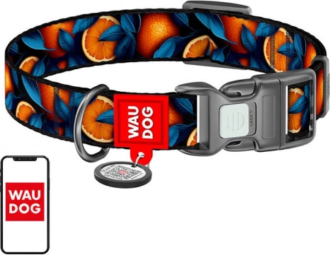 Waudog ovratnik za pse "Oranges" od najlona s QR kodom, veličina XL