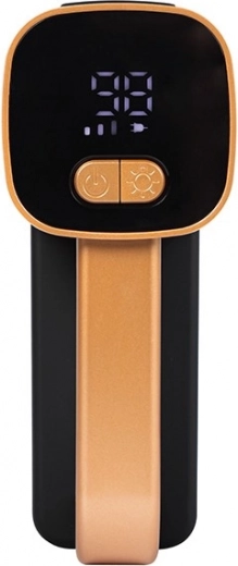 Pregledan LCD zaslon