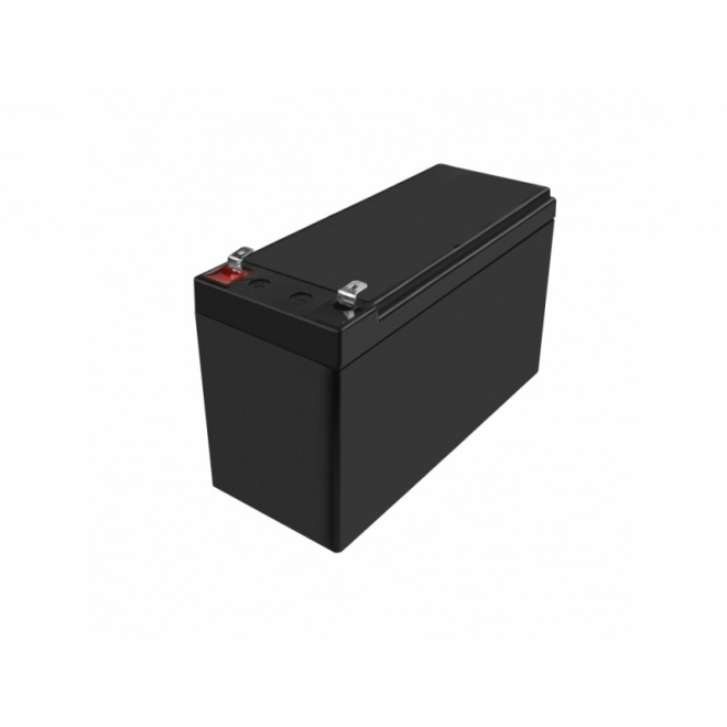 Punjive baterije AGM VRLA Green Cell AGM50 12V 10Ah (za UPS, autiće, kosilice za travu)
