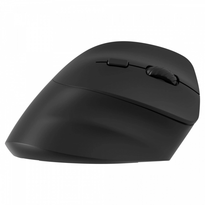 Bežična ergonomska miš za dešnjake, punjiva baterija Dual WL+BT