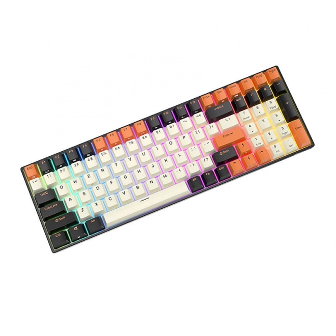 Mehanička tipkovnica Royal Kludge RK100 RGB smeđi prekidač