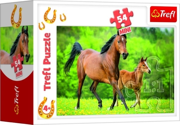 Minipuzzle 54 dijelova Konji 4 vrste u kutiji 9x6,5x4cm