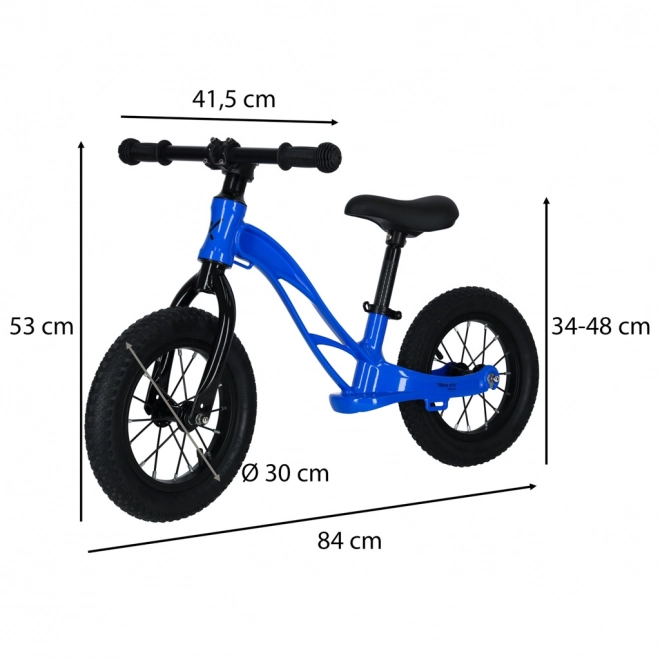 Dječji guralica Trike Fix Active