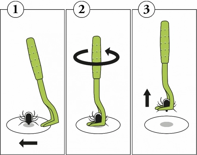 Jednostavan postupak korak po korak