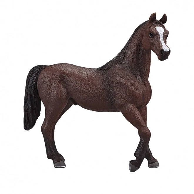 Mojo arapski pastuh