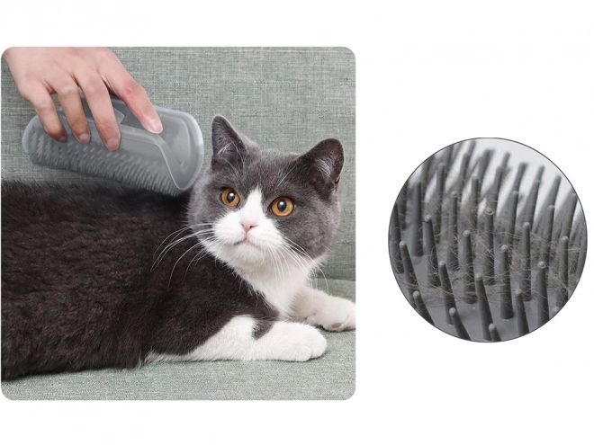 Kutni češalj za mačke s catnipom