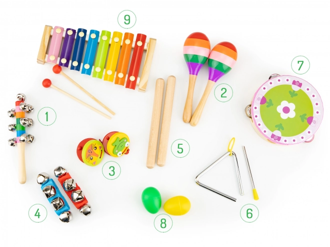 Glazbeni set od 14 instrumenata + torba Ecotoys