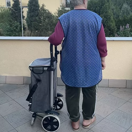 Sklopivi prijevozni kolica Gardlov 23187