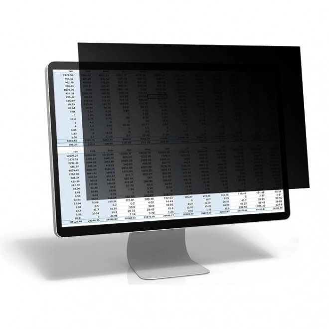 Filter za privatnost za monitor 23.8 inča
