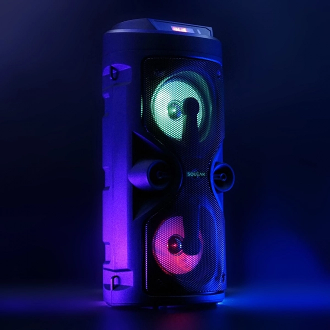 Bluetooth zvučnik Harmony s karaoke funkcijom