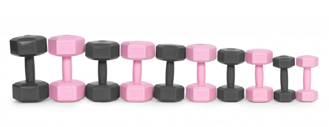 Set šesterokutnih utega 2x5 kg siva ModernHome