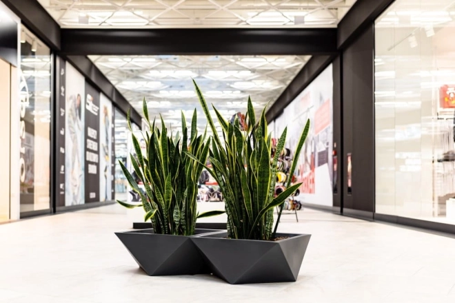 Stilizirana geometrija za moderne prostore