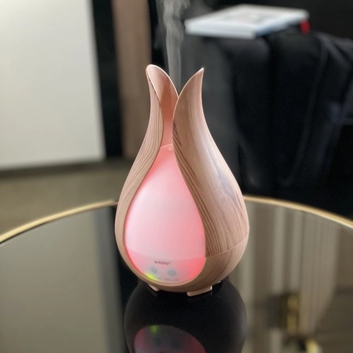 Aroma difuzor i ovlaživač zraka 200ml Ruhhy