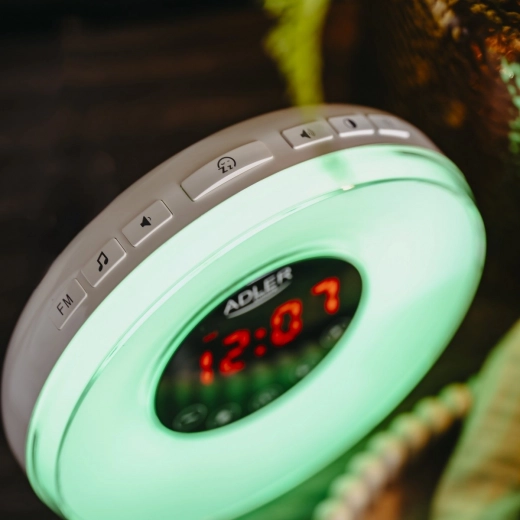 Zvukovi prirode i FM radio