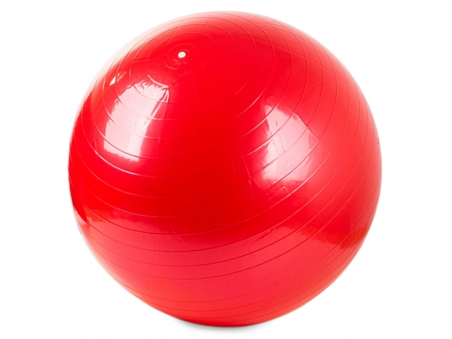 Gimnastička lopta s pumpom za fitness i rehabilitaciju