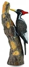 Collecta kraljevski djetlić – realistična figurica