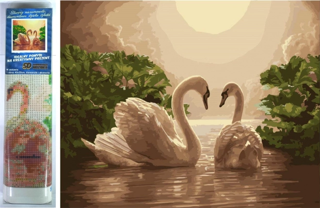dijamantno slikanje Labuđa pjesma 30 × 40 cm