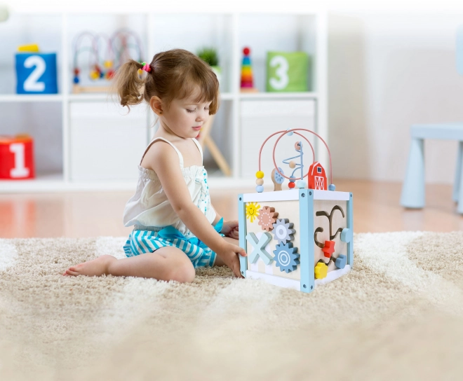 Drvena igračka za sortiranje s kockama Ecotoys
