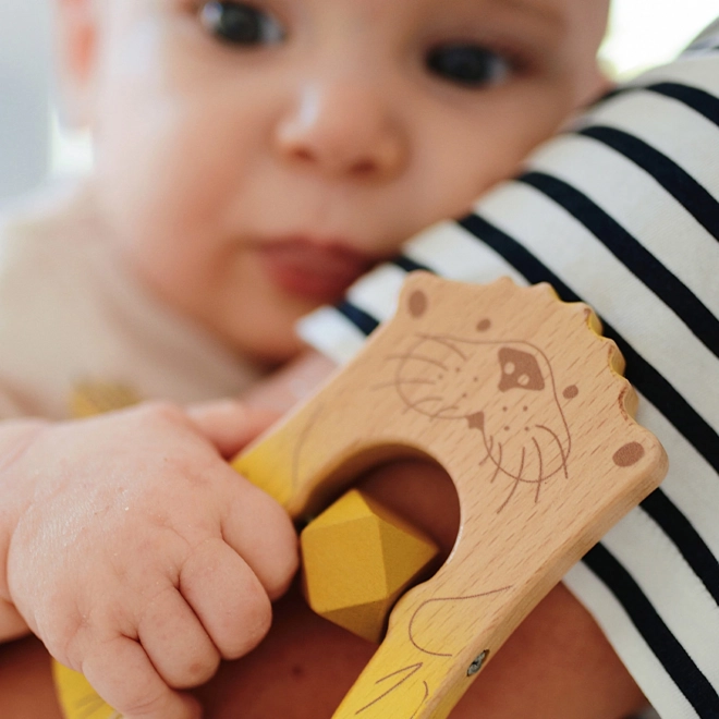 Small foot set igračaka za bebe 3 kom