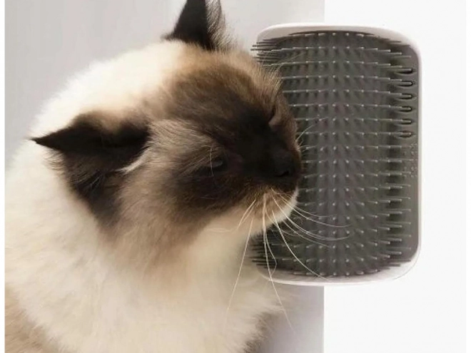 Kutni češalj za mačke s catnipom