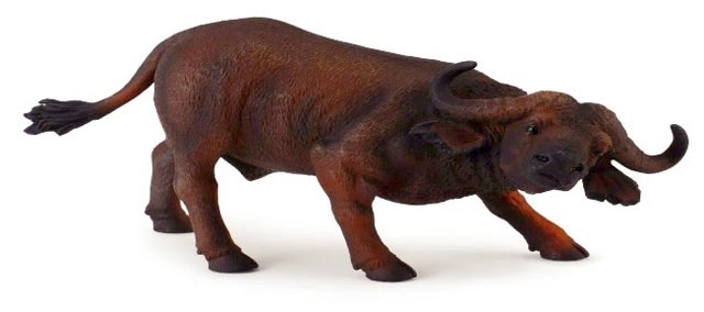 Afrički bik Collecta