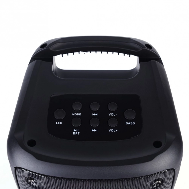 FUNBOX BT Zvučnik MT3181 Bluetooth 5.0/TWS/MP3/MicroSD/USB/AUX/Ekvalizator/Jack 6.3/RGB/USB-C/ RMS 40W/PMPO 1000W