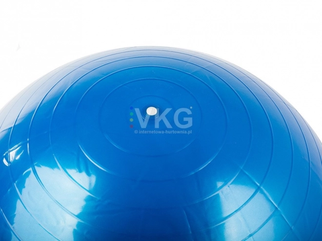 Gimnastička lopta Fitness 65 cm s pumpicom