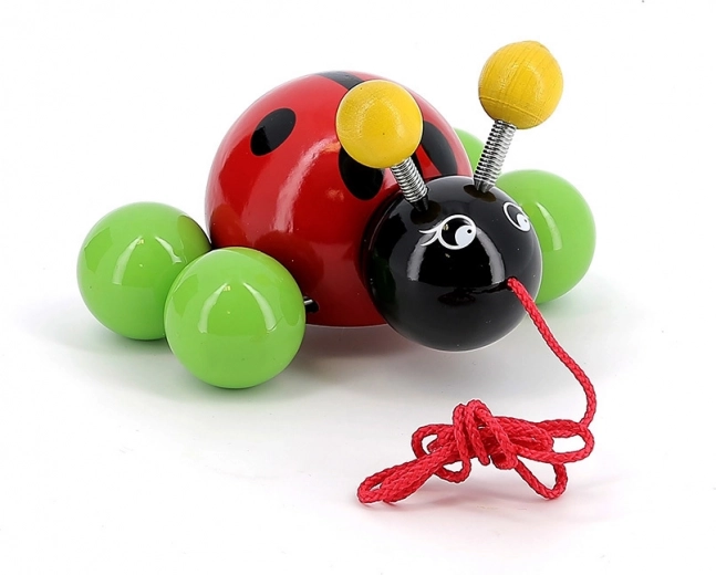 Glatka lakirana drvena konstrukcija