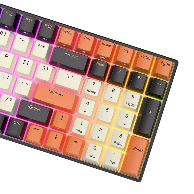 Mehanička tipkovnica Royal Kludge RK100 RGB smeđi prekidač