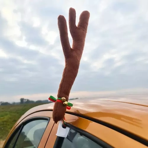 Sobiji rogovi za automobil Xtrobb 20223