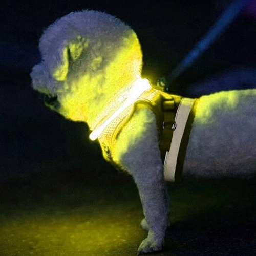 Svjetleća ogrlica LED za pse i mačke