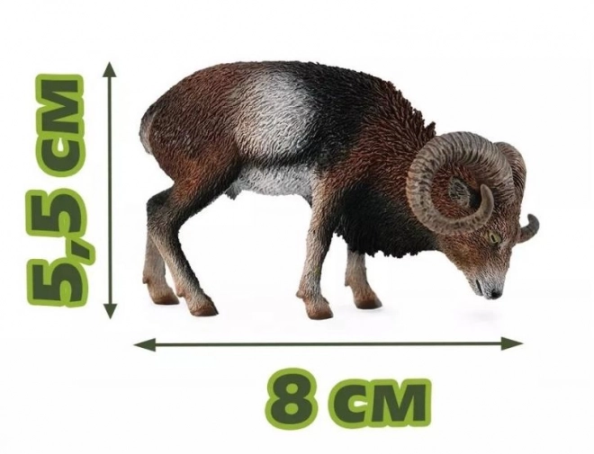 Europski muflon