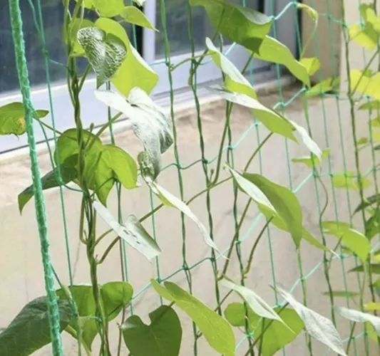 Mreža - potpora za biljke 2x10m Gardlov 23978