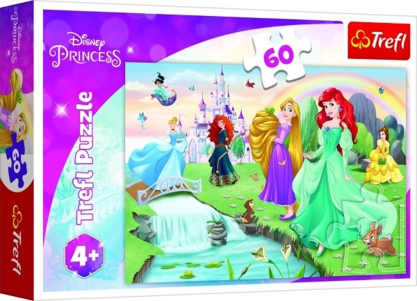 Puzzle Upoznajte princeze 33x22cm 60 dijelova u kutiji 21x14x4cm