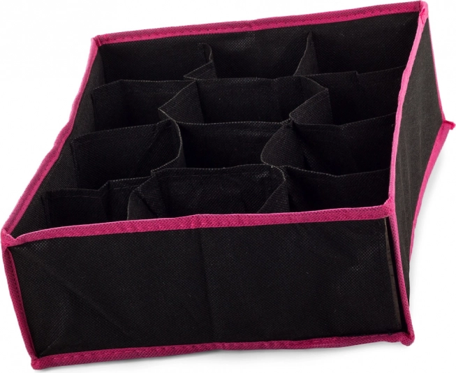 Organizator za donje rublje s 12 pretinaca