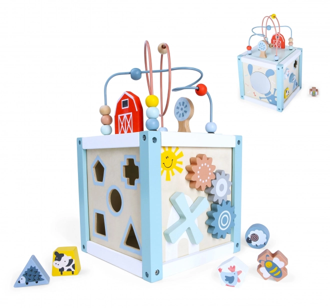 Drvena igračka za sortiranje s kockama Ecotoys
