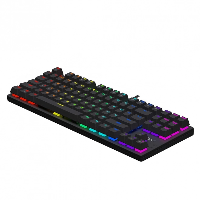 Mehanička tipkovnica Savio Tempest X2 RGB Outemu Brown